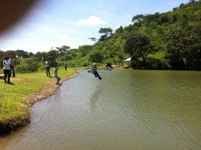 Volando en Quercus